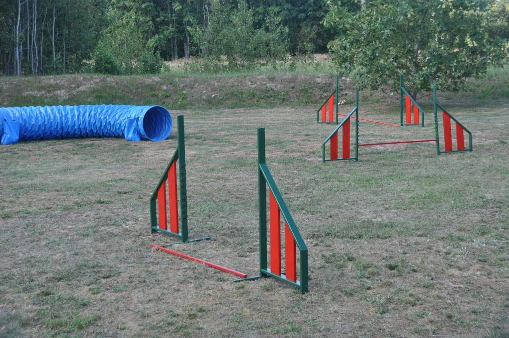 Suņu laukumā bez kārumiem un bāršanās