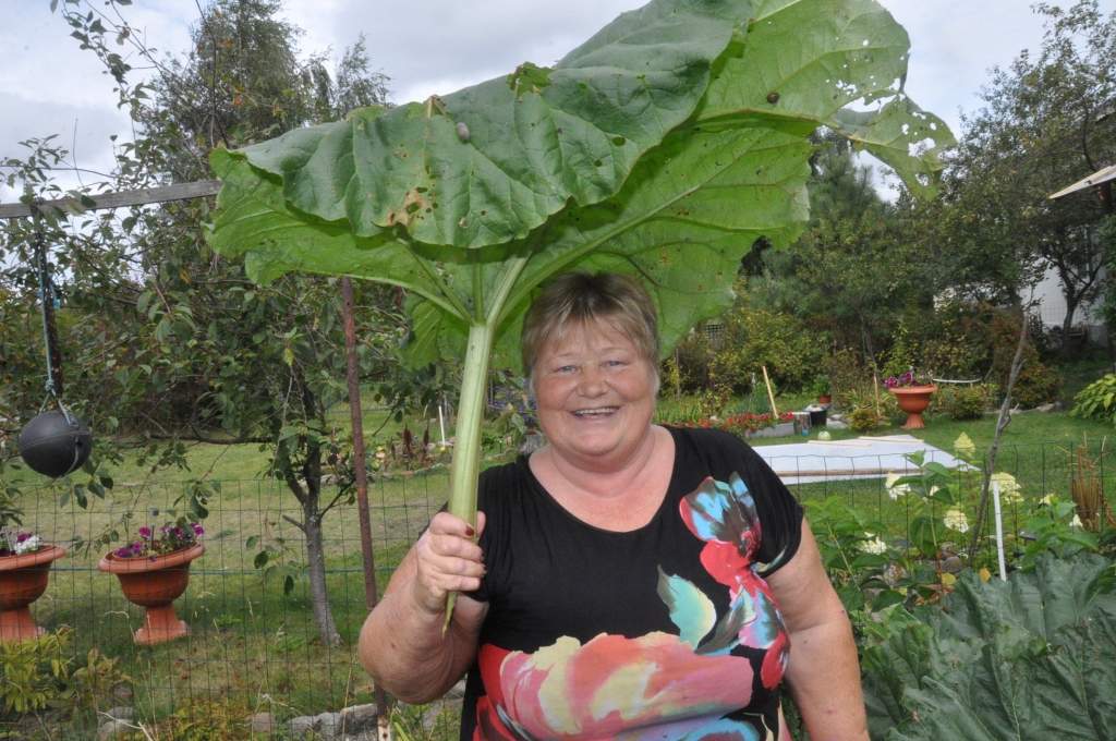 Skābā zemē aug gardas lietas
