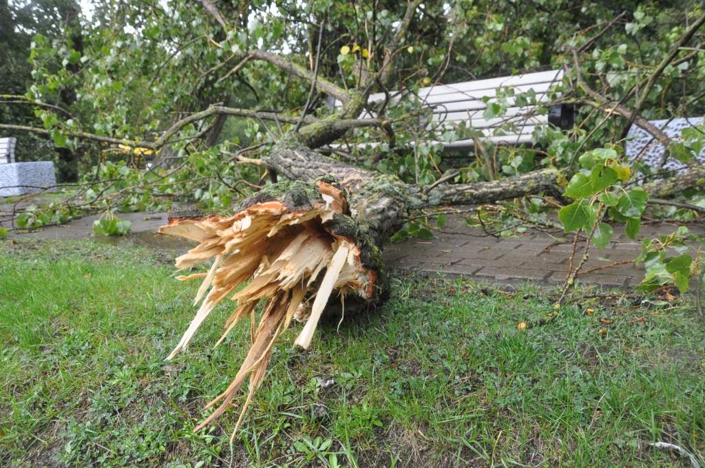 FOTO: Liepājā spēcīgs vējš un lietavas jūrā ieskalo tualetes, lauž kokus