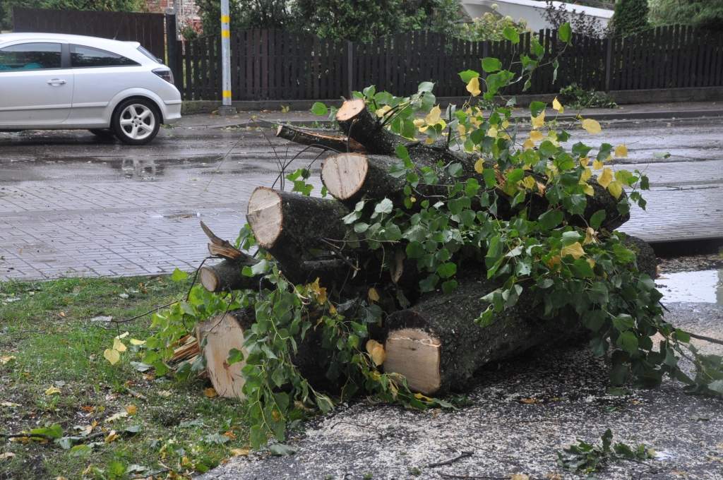 Glābšanas dienesti steidz novākt nokritušos kokus