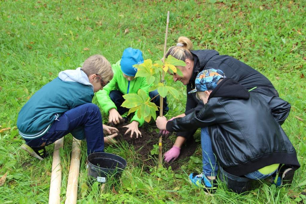 Meža dienās stāda kokus Durbes pilskalna parkā