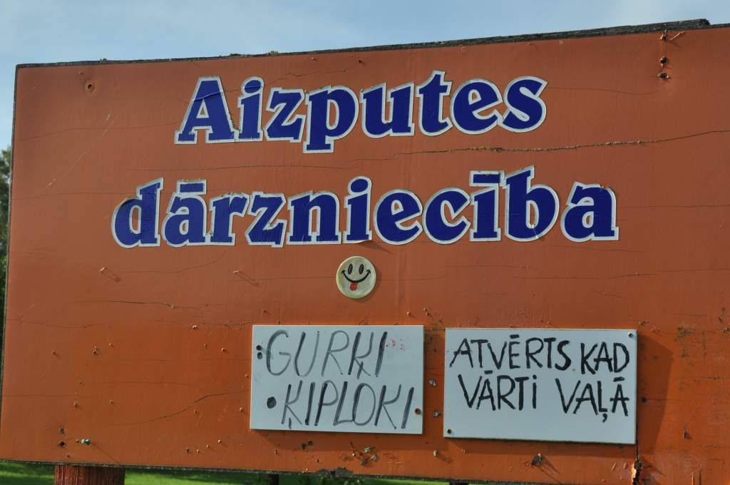 Vasarā puķes apstādījumiem, ziemā – lociņi veselībai