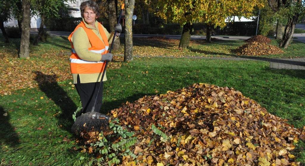 Lapas – rudens noskaņai vai smaga darba vaininieces?