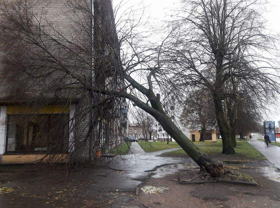 Liepājnieki prot pajokot par dabas stihiju