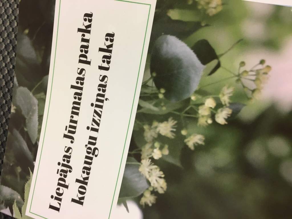 Universitātes studenti izstrādā aplikāciju par Jūrmalas parku