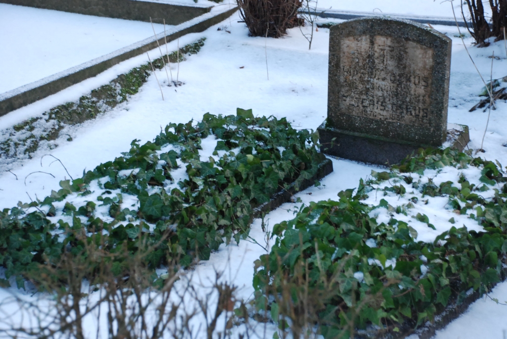 Cilvēkiem kapavietu pietiek, dzīvnieku kapi jāizveido