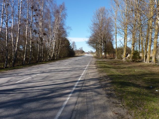 Lūdz atbrīvot Liepājas-Nīcas šosejas malu no apstādījumiem – remontēs ceļu