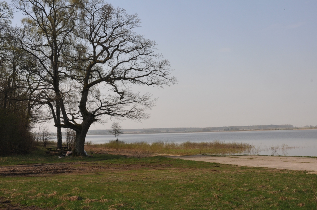 Apkārt Durbes ezeram vedīs velomaršruts