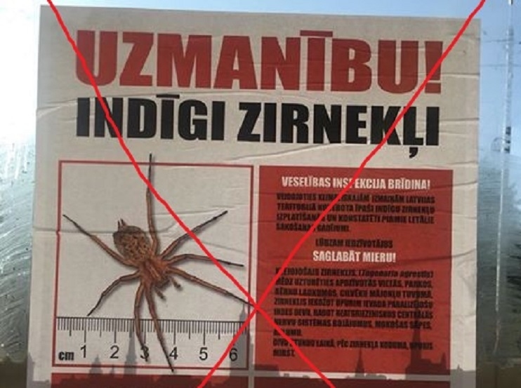 Viltus ziņas par it kā bīstamiem zirnekļiem tikušas izlīmētas mākslas vārdā