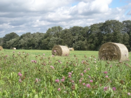 Šonedēļ līs maz un gaisa temperatūra būs mērena