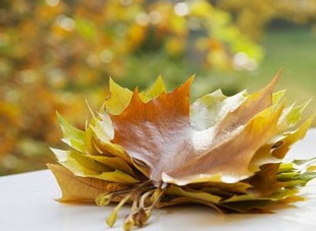 Pēc trim vasarīgām dienām nedēļas beigās kļūs vēss un sāksies astronomiskais rudens