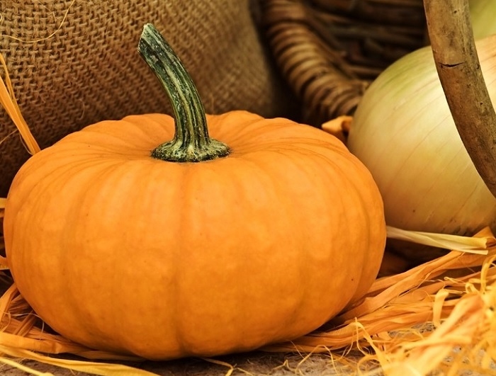 Aicina pieteikties Latvijā lielākā ķirbja čempionātam