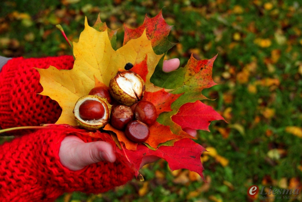 Sācies astronomiskais rudens