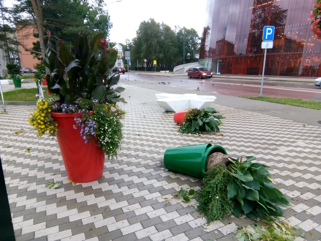FOTO: Liepājā un Grobiņā vējš jau lauž kokus, gāž puķu podus