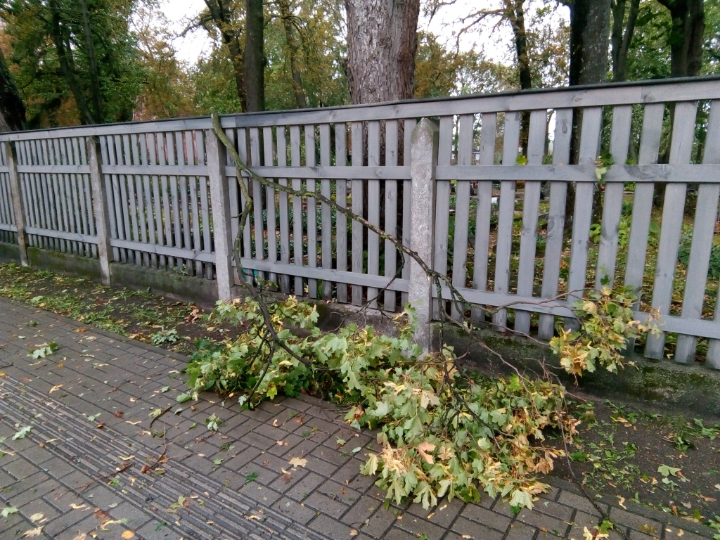 Pēc visai saulainas un vējainas ceturtdienas Latviju sasniegs ciklons un stiprāks vējš