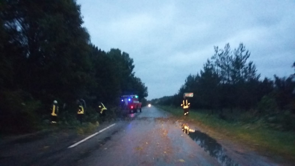 Glābēji saņēmuši prāvu skaitu izsaukumu par vēja lauztiem kokiem