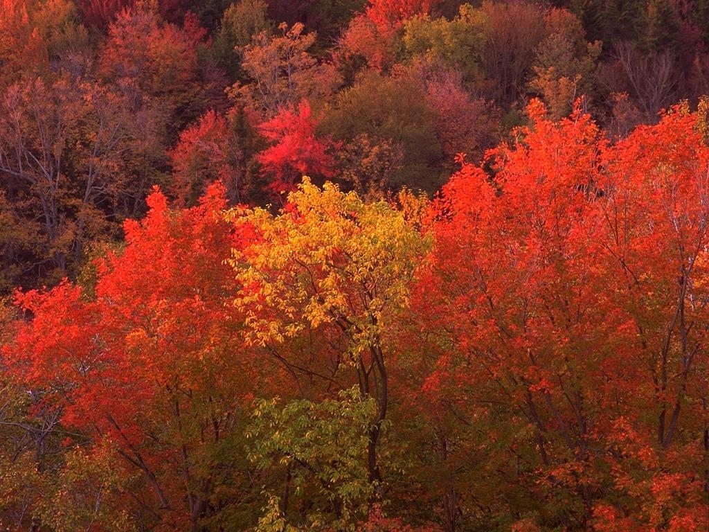 Gaidāma siltākā diena pēdējo divu nedēļu laikā