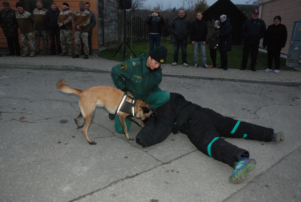 FOTO: Aizputē Lāčplēša dienā dzied un vēro robežsargu demonstrējumus