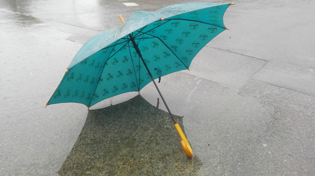 Nedēļas nogalē gaidāms atkusnis, brāzmains vējš un nokrišņi