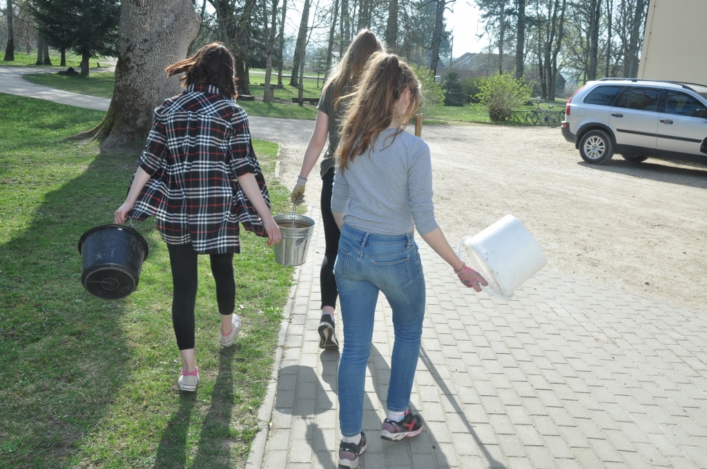 FOTO: Dzērves skolā notiek dižkoku un parka sakopšanas talka