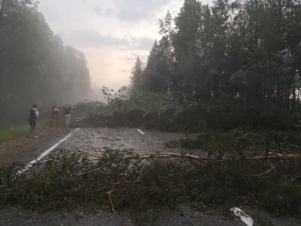 FOTO.VIDEO: Pērkona negaiss lauž kokus un atnesis līdz pat pieciem centimetriem lielus krusas graudus