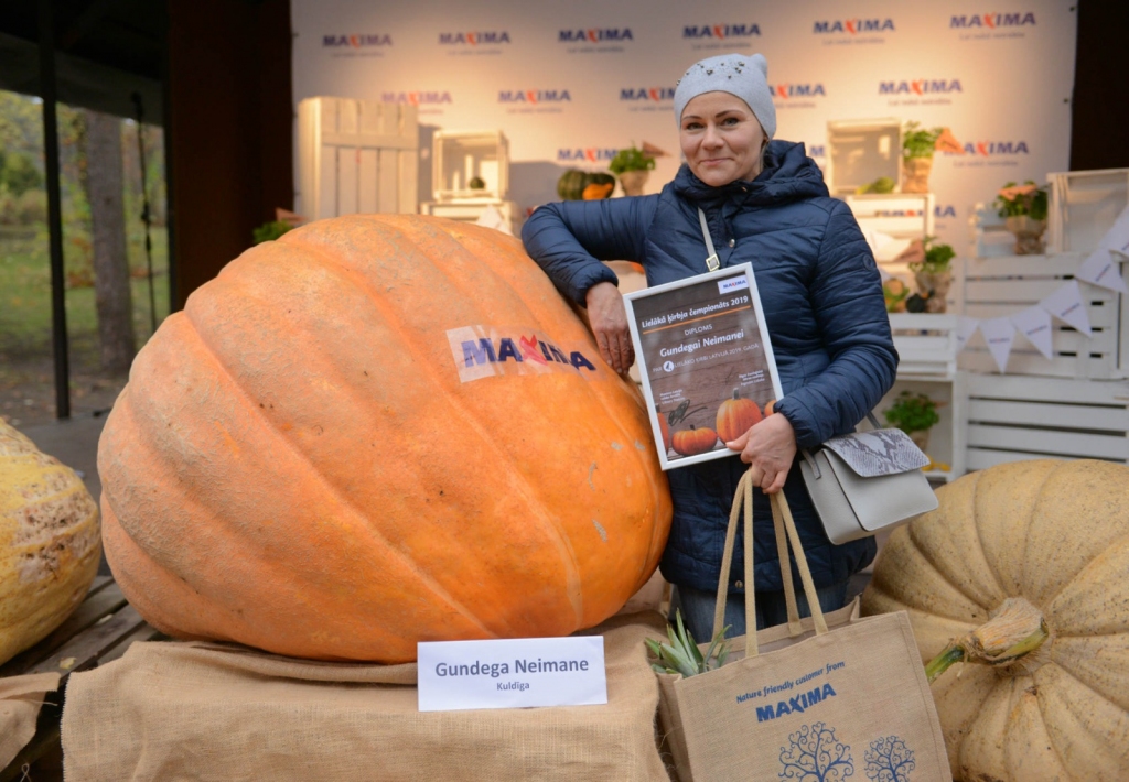 Latvijas lielākais ķirbis šogad sver 329,5 kilogramus 