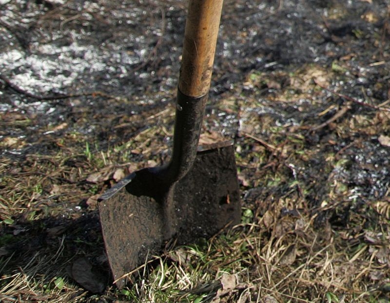 Kāpēc mulčēt dārzu uz ziemu?