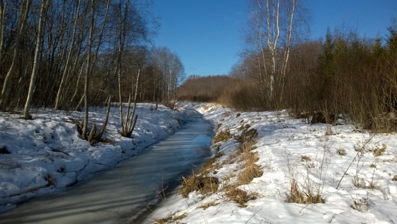 Vilis Bukšs par februāri: temperatūras svārstības būs kā zāģa zobi – te uz augšu, te atkal uz leju