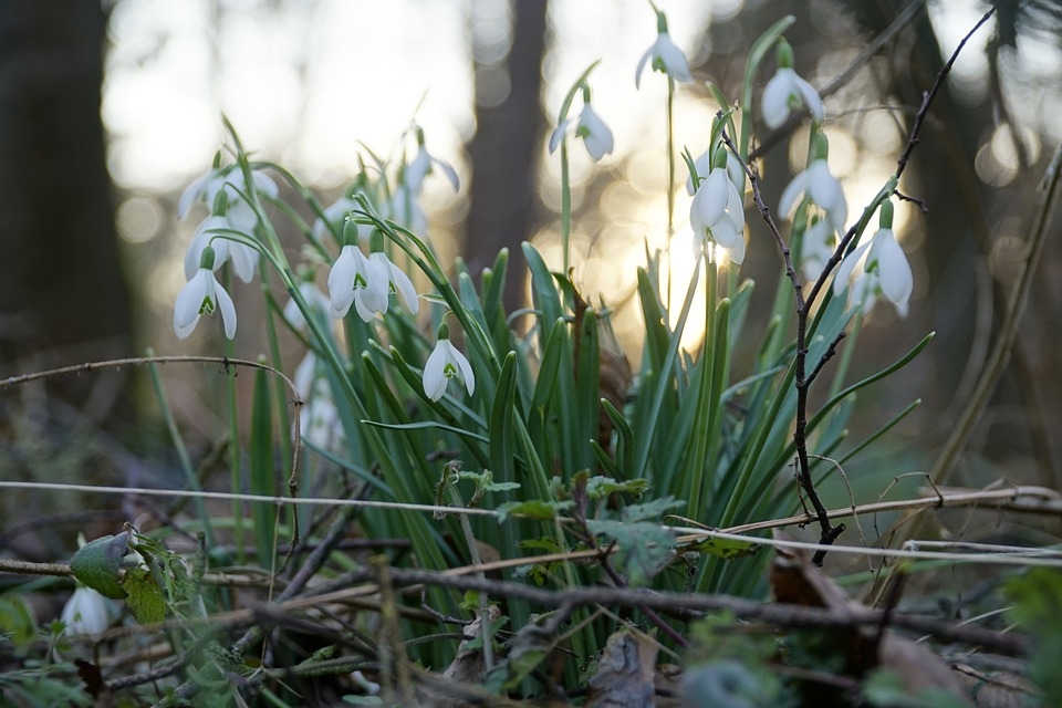 Februāra vidus bijis septiņus grādus siltāks par normu