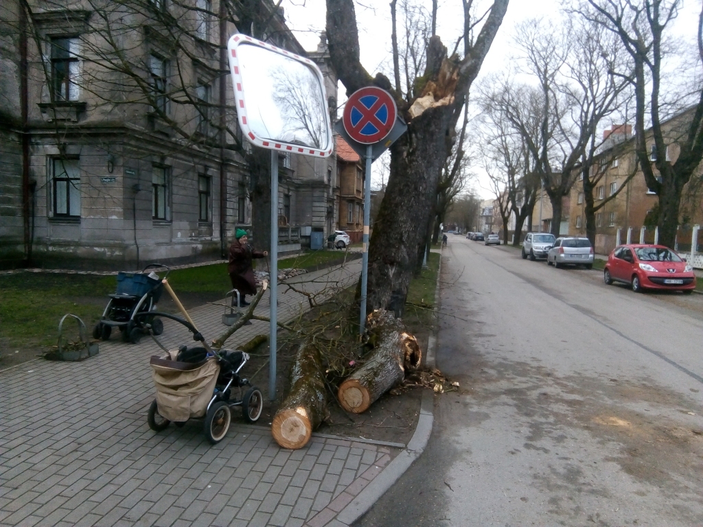 Piektdienas rītā vējš pierimis; naktī stiprākās brāzmas reģistrētas Vidzemē