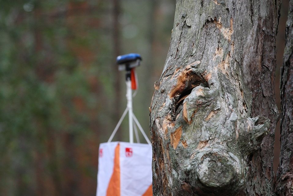 Var izskriet orientēšanās sporta distanci Bernātu mežā