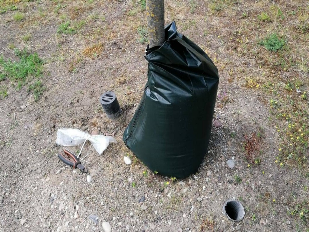 Liepājā izmēģina jaunu koku laistīšanas paņēmienu