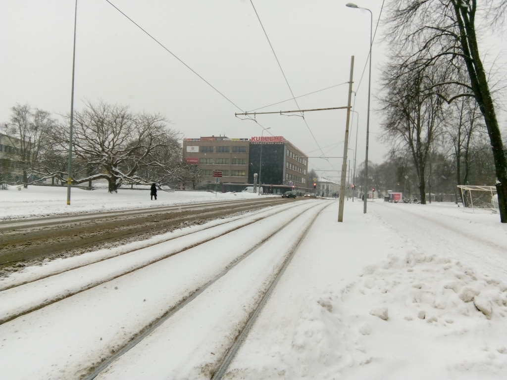 Ziemu prognozē jūtami vēsāku par iepriekšējo