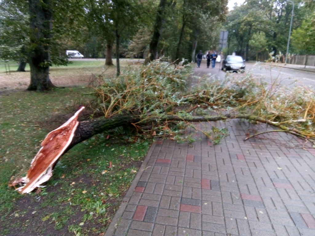 Lielākie vēja postījumi ceturtdien gaidāmi Rīgā un galvaspilsētas apkārtnē