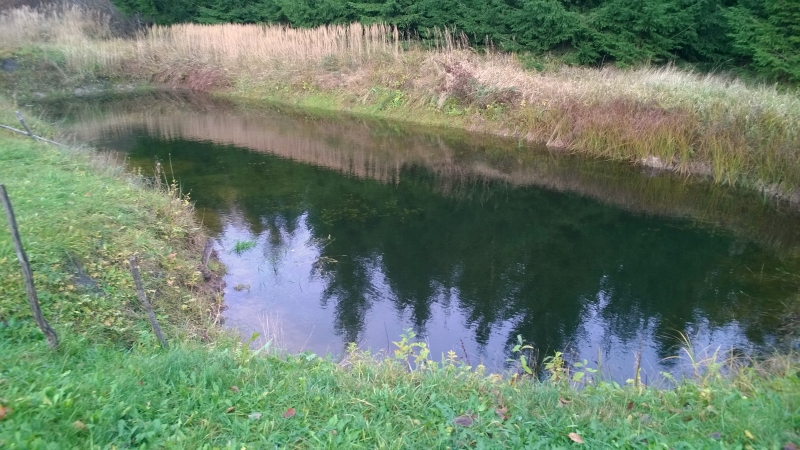 FOTO: Ko vēsta dabas vērotāja Viļa Bukša dīķītis par gaidāmo ziemu?