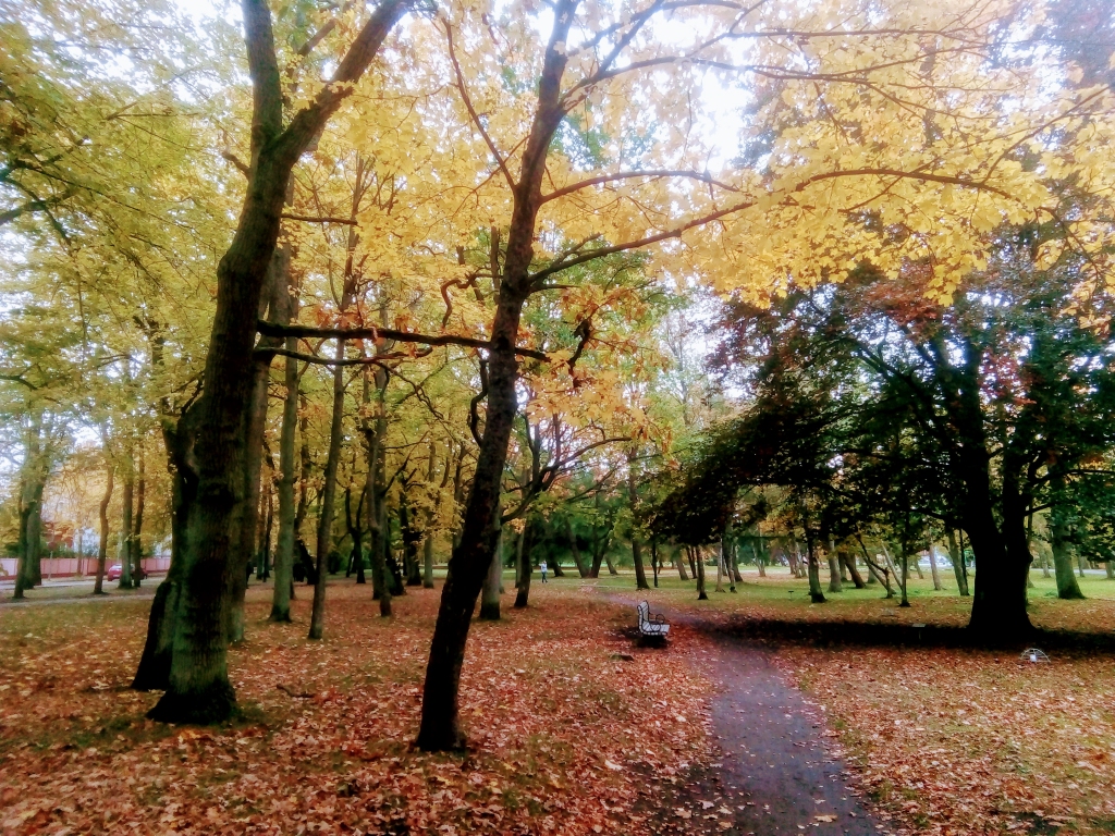 Nākamnedēļ turpināsies silts rudens