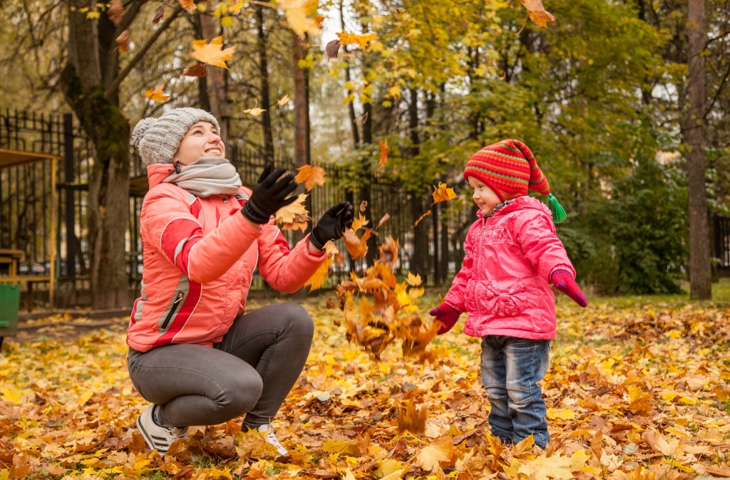 Dabas vērotājs Vilis Bukšs par laiku novembrī; kad sāks klauvēt ziema?