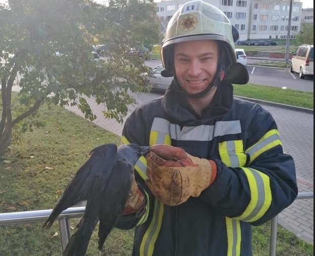 Ugunsdzēsēji Liepājā izglābj vārnu