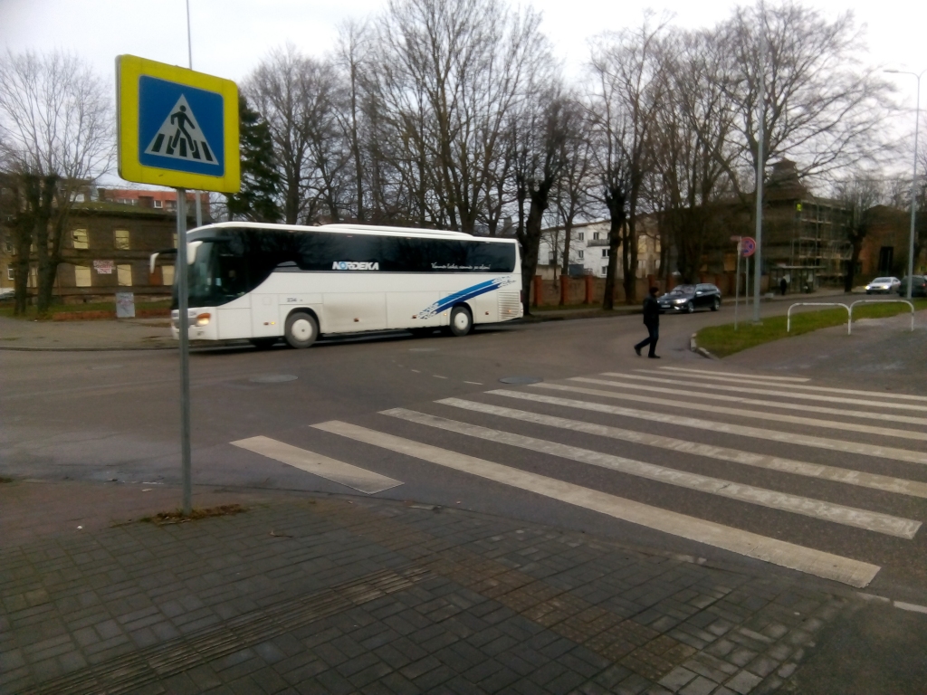 Neatļauj cirst dižkokus un kokus, kas neaug būvprojekta teritorijā 