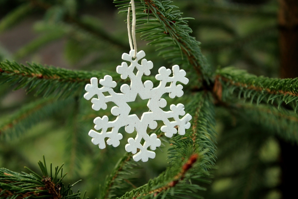 Pēdējie astoņi decembri Latvijā bijuši siltāki par normu; decembrī vissiltāk bija Rucavā