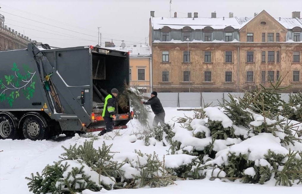 "Clean R" bez maksas pārstrādei nogādājis jau vairāk nekā 5000 eglīšu