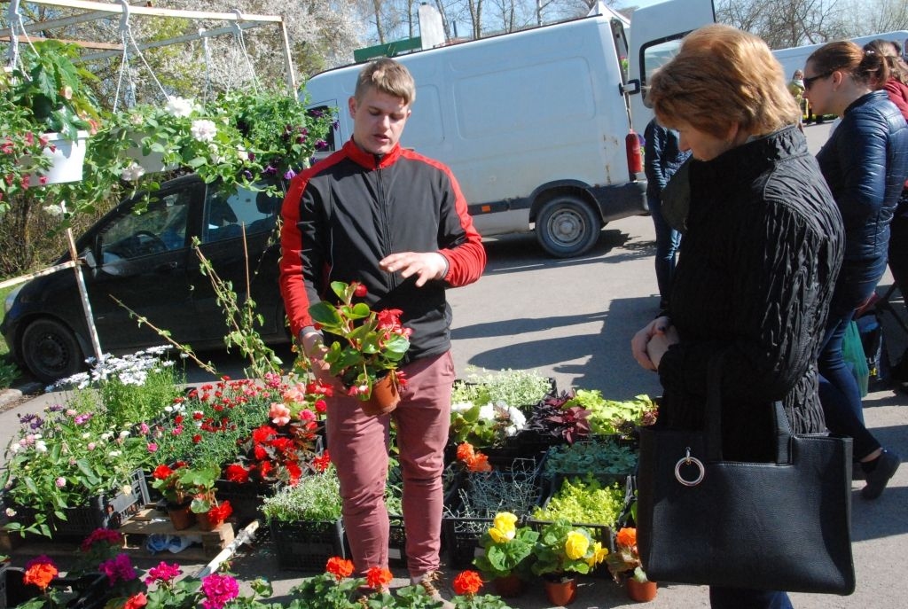 Grobiņā un Bārtā būs Pavasara tirgus 