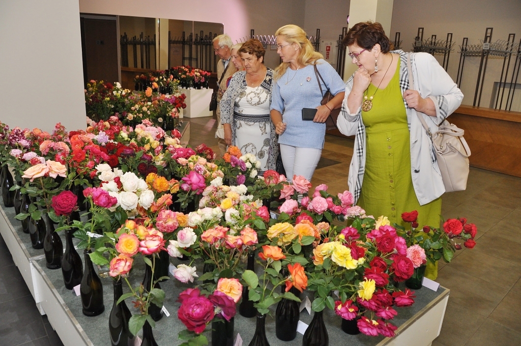 Liepājas Latviešu biedrības namā varēs skatīt skaistākās rozes 