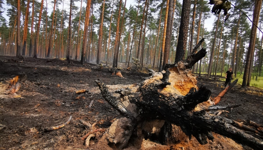 Izsludina oranžo brīdinājumu - teju visā Latvijā saglabājas augsta ugunsbīstamība