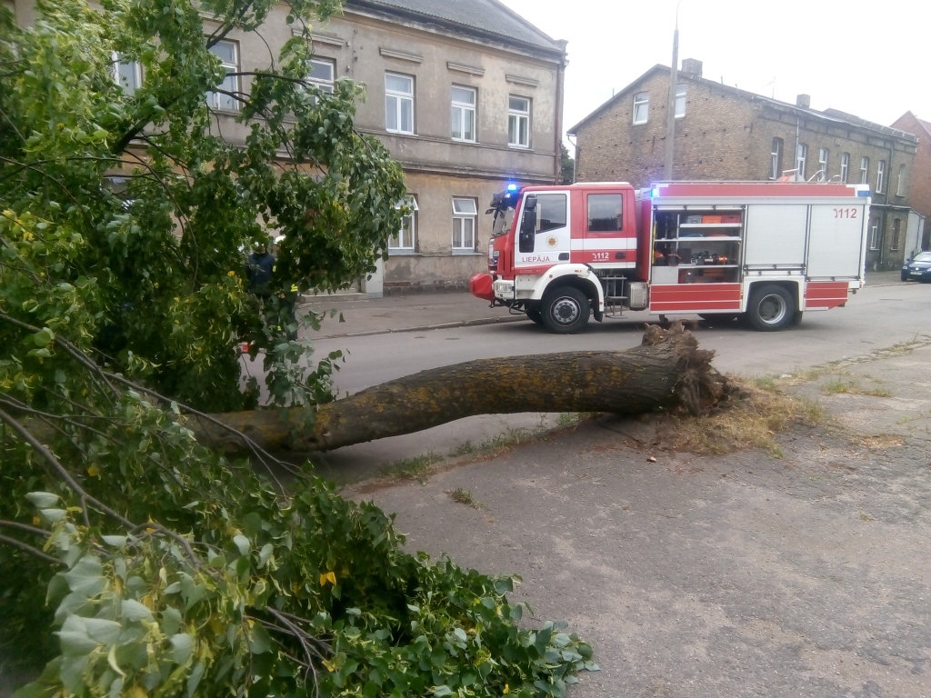 FOTO: Liepājā stiprajā vējā braucošai automašīnai uzkrīt koks