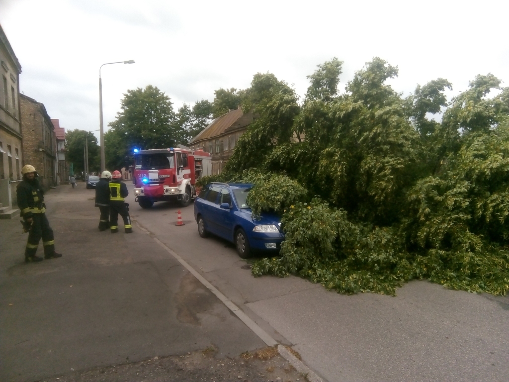 Glābēji palīdzējuši novākt ap 70 vēja nolauztos kokus no dzīvojamās mājas, garāžām un automašīnām