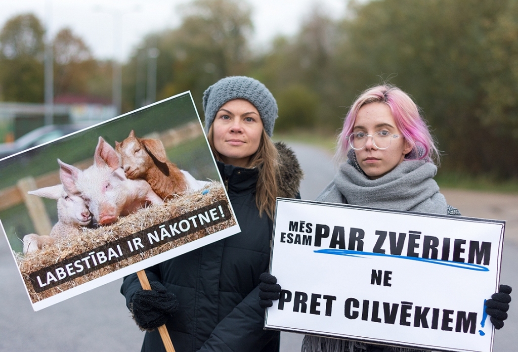 Dzīvnieku aizstāvji rīkos līdzjūtības akciju pie Kurzemē lielākās kautuves