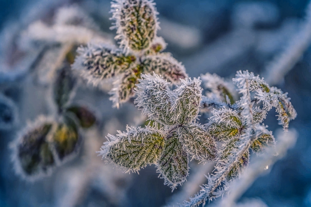 Naktī uz svētdienu gaisa temperatūra noslīdēs zem nulles