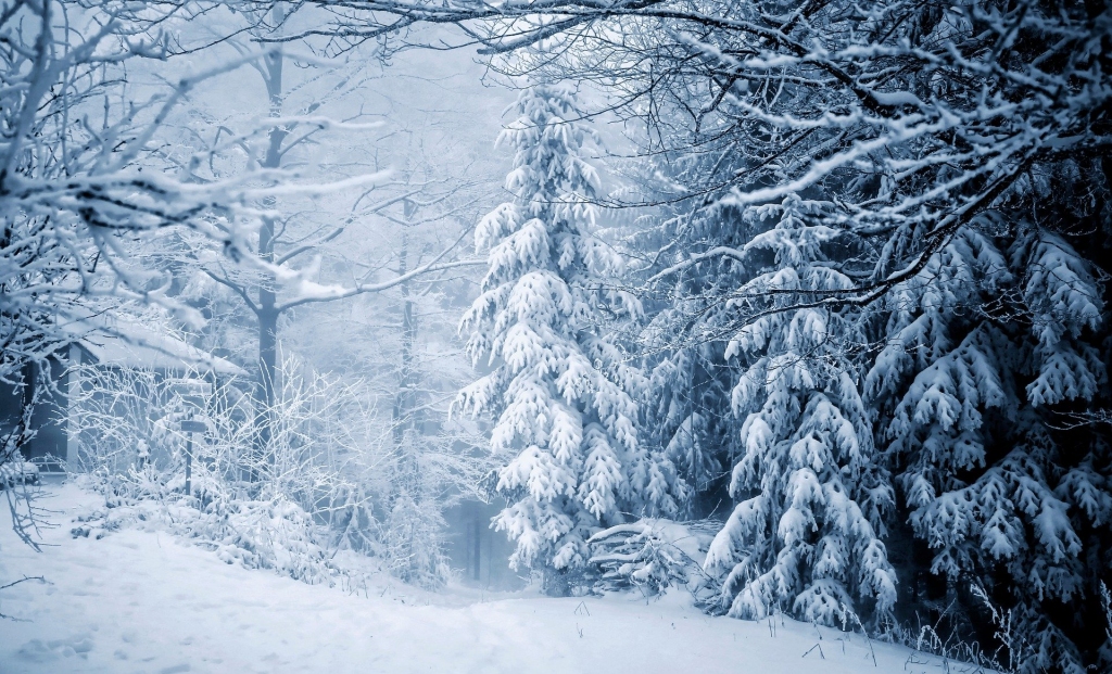 Stiprākā snigšana nedēļas sākumā gaidāma austrumu novados, lielākais vējš iespējams Rīgā